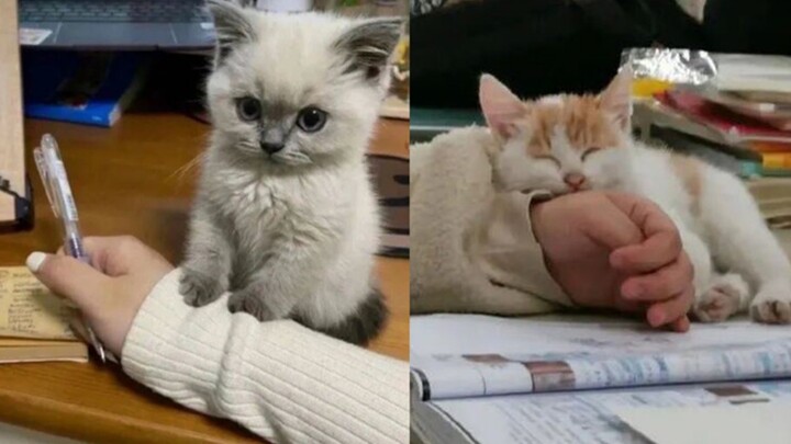 “Akhirnya ketemu juga penyebab anak sulit belajar!”