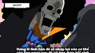 Top 6 Thánh Nhọ Trong One Piece #15 7