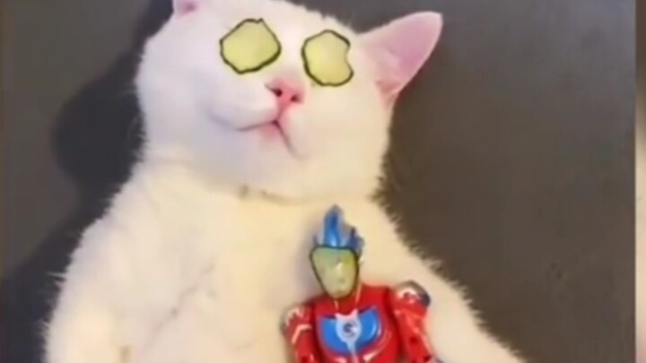 “这才是猛男该看的！”