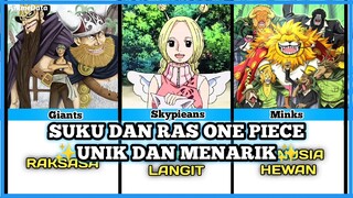 ✨SUKU DAN RAS✨ YANG ADA DI ONE PIECE