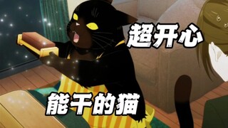 七月新番：猫猫被吓哭了  还以为铲屎官想不开去上吊