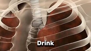 for the lungs