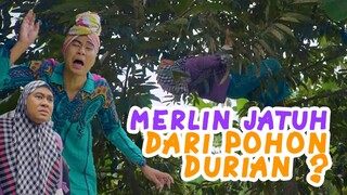 🔴  MERLIN JATUH DARI POHON DURIAN ?