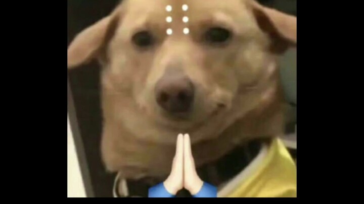 هكذا نحن أنا وصديقي عندما نخرج – مونتاج مضحك