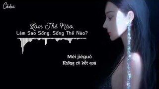 [Vietsub + Pinyin] Làm Thế Nào, Làm Sao Sống, Sống Thế Nào? - Hoàng Tĩnh Mỹ / 怎么做怎么过怎么活 - 黄静美