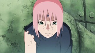 🍒Sakura Haruno Daisy(AMV)🍒