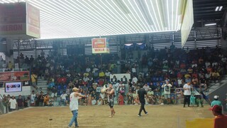 montalban cockpit arena