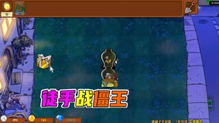 植物大战僵尸：你炸我也炸之开局炸了