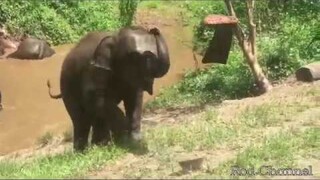 3 ตัวป่วนจากไร่อ้อมกอดภูเขา|ไปเที่ยวหาน้องๆกัน|เชียงใหม่