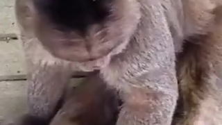 I figured it wouldn't be of much use anyway.