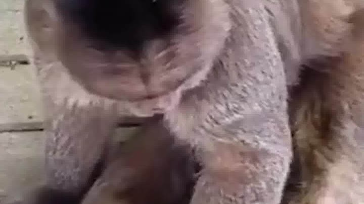 I figured it wouldn't be of much use anyway.