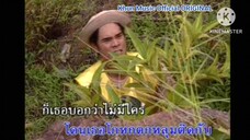 MV พะงาบๆ อ่ำ อัมรินทร์ นิติพน