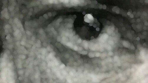 สอนคุณให้ใช้วิชาชีพของตัวเองเพื่อสร้างความเท่