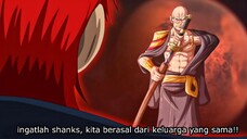 Inilah Mengapa Shanks Setara Gorosei, Ayahnya Adalah Salah Satu Dari mereka!