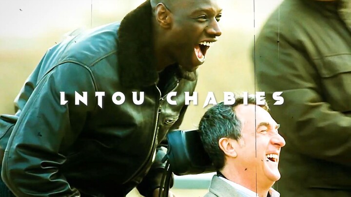 มิตรภาพข้ามเผ่าพันธุ์