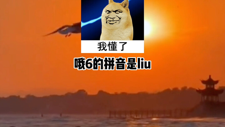 发给喜欢回你6的朋友听哈哈哈哈