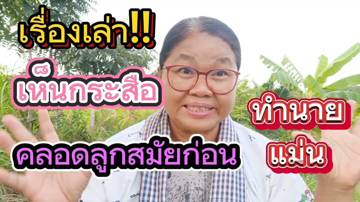 #เห็นดวงไฟอยู่ใต้ถุนบ้านคนคลอดลูก #แสงไฟผีกระสือ #เรื่องจริง #pisai channel