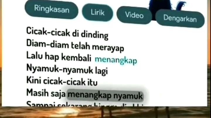 lirik cicak² di dinding🗿👍