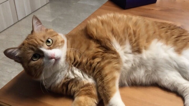 【Xingga Xiaomi, washing up online】Is there anyone out there? I'm so bored!