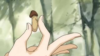 Gintama: Hey, among the matsutake mushrooms, this is a kid. [Current situation of mushroom poisoning