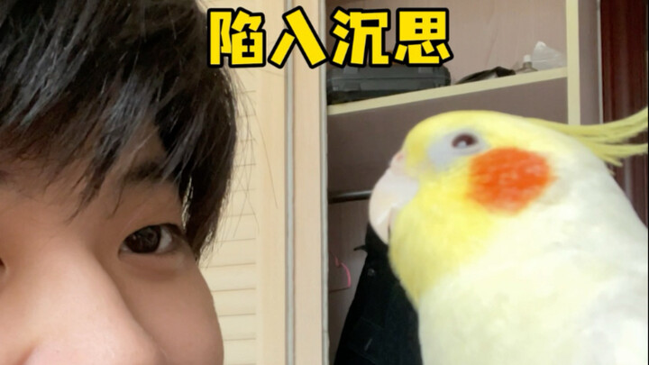 Gà con cũng sợ lạnh dữ quá～