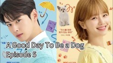 A Good Day To Be a Dog (2024) | Episode 5 | EngSub