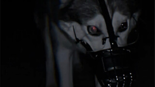 Do Huskies Really Have Two Faces?