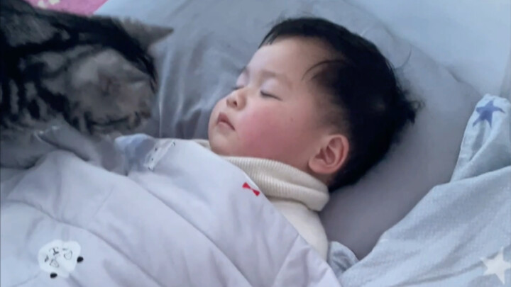 ในห้องเปิดเสียงเด็กร้องไห้ แมวคิดว่าลูกน้อยตื่นแล้ววิ่งพรวดไปหาเลย~ ดูท่าทางร้อนใจของมันสิ ใจเจ็บแทน