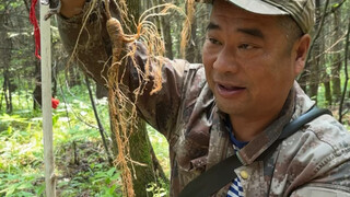 Không có thi ca và phương xa, chỉ có lang thang trong núi lớn, hít thở không khí trong lành, cảm nhậ
