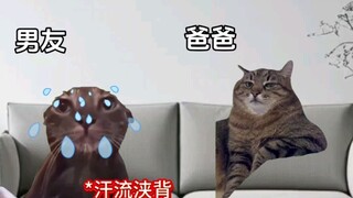 When you bring your boyfriend to meet your parents for the first time