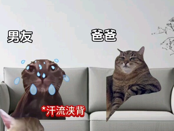 When you bring your boyfriend to meet your parents for the first time