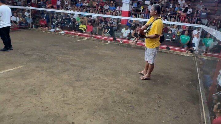 Super pumkin line win 🐓