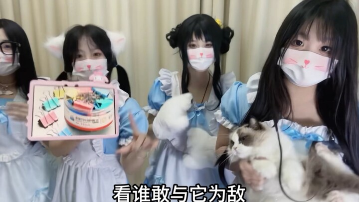 [Cat Diary Sign] Young Master, do you need a small clip?