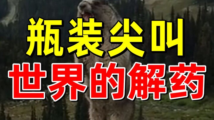 【半佛】为什么小摊总用尖叫的瓶子装调料