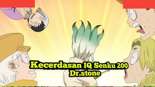 Kecerdasan IQ Senku Berapa?? 200?? 300?? 800?? Dr.stone