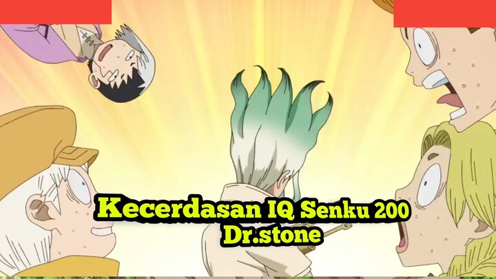 Kecerdasan IQ Senku Berapa?? 200?? 300?? 800?? Dr.stone