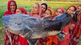 Giant Devil Catfish - River Monster Fish Cutting, Cooking & Eating in Village -