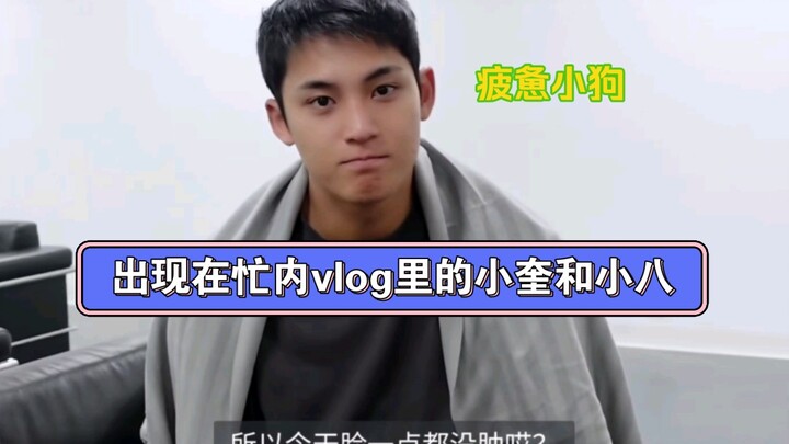 Xiao Kui dan Xiao Ba yang muncul di vlog Mannei! Potongan vlog Mannei dengan Xiao Kui dan Xiao Ba.
