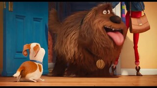 The Secret Life of Pets  (2016)