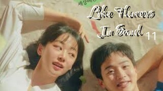 🇰🇷 | EP 11 Like Flowers In Sand (2023)English Sub