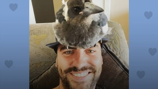 [Animals]Happy life with a magpie