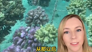 Orang-orang yang menanam karang di laut untuk melindungi terumbu karang