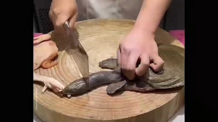 My hand was bitten by a turtle—how can I make it let go quickly?