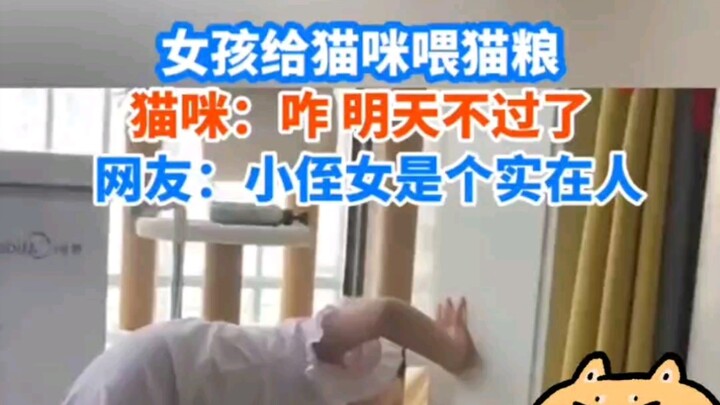 The girl feeds the cat cat food, and the cat thinks, “Huh? I’m not coming back tomorrow.” Netizen: “