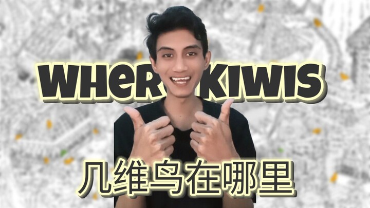 Where Kiwis 几维鸟在哪里