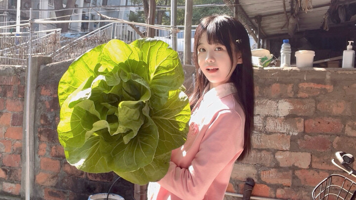 Teman se-kampung! Sudah menanam tanaman raksasa!