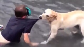 “That’s probably why people keep dogs.”