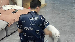 بعد أن أنجبت باي جي مولودًا فقط، أصبح مزاجها عصبيًا للغاية. ما إن ينادي شيان ديان حتى تندفع باي جي ف