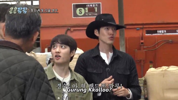 SUB INDO] GBRB go go farm Episode 1