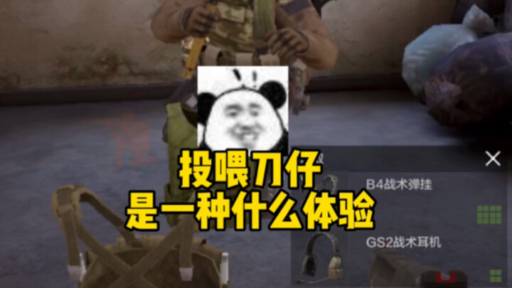 What’s it like to “feed” Daozai?